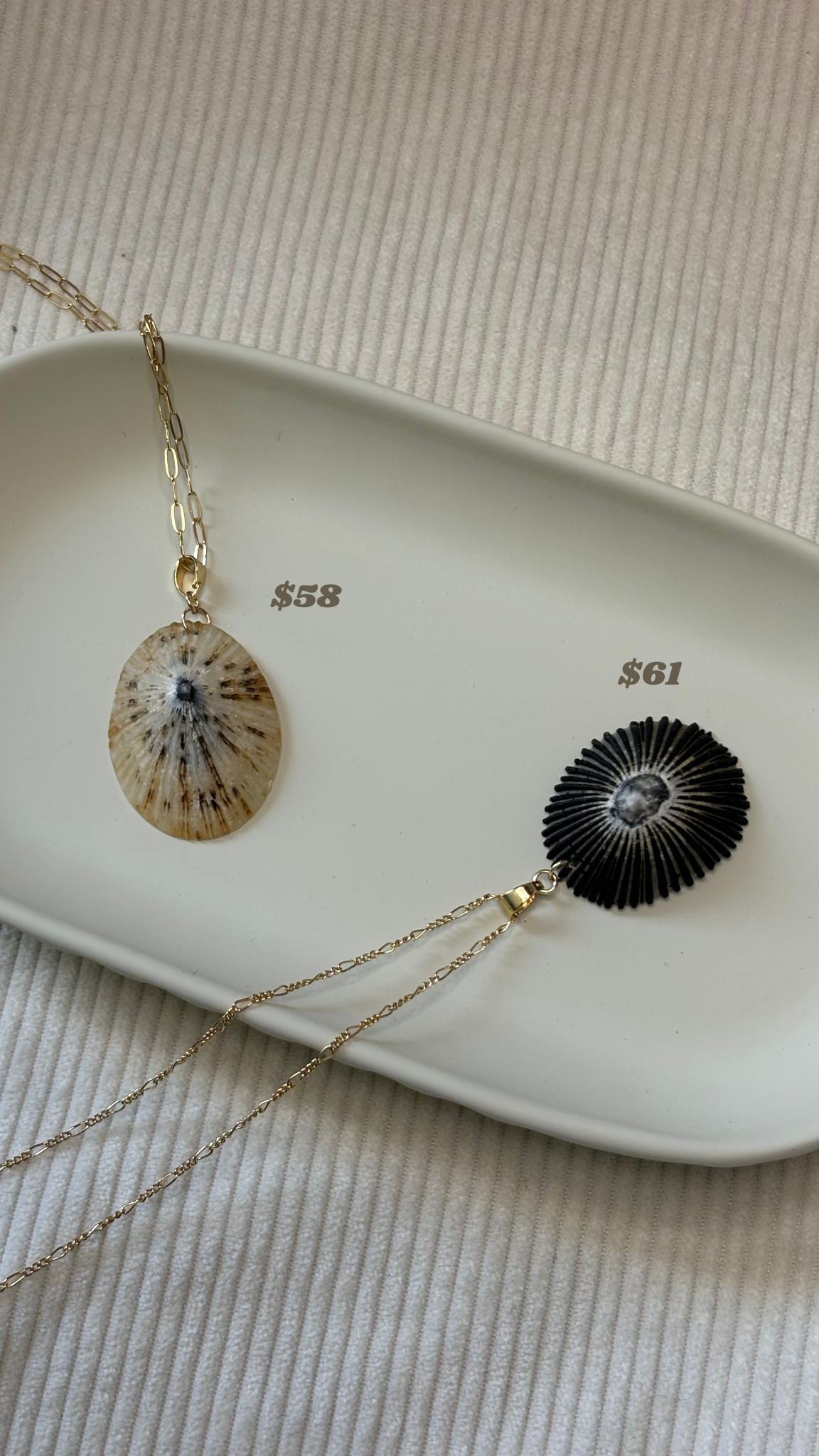 Gold-Filled Opihi Shell Chain Necklace