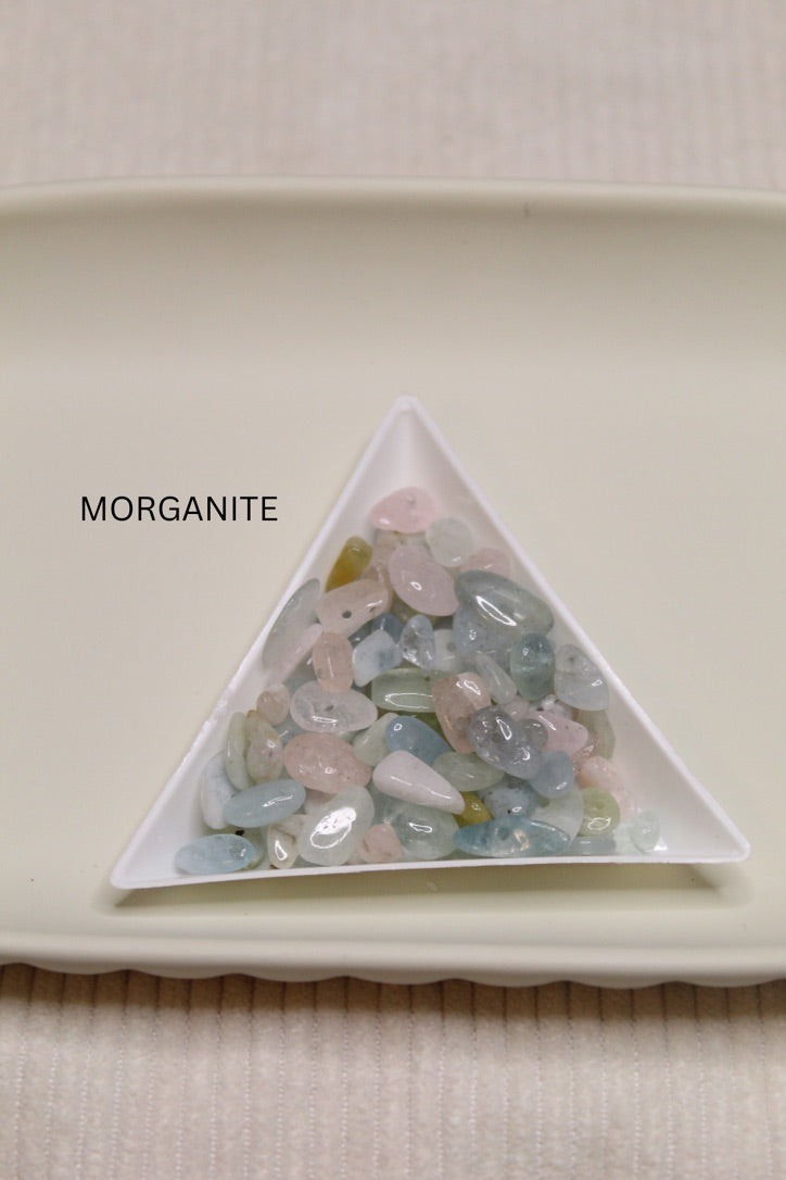 Stainless Steel Gemstone & Shell Disc Earrings