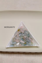 Stainless Steel Gemstone & Shell Disc Earrings