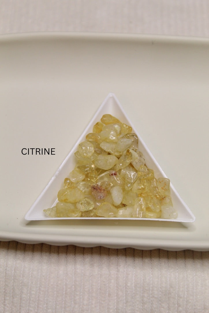 Stainless Steel Gemstone & Shell Disc Earrings