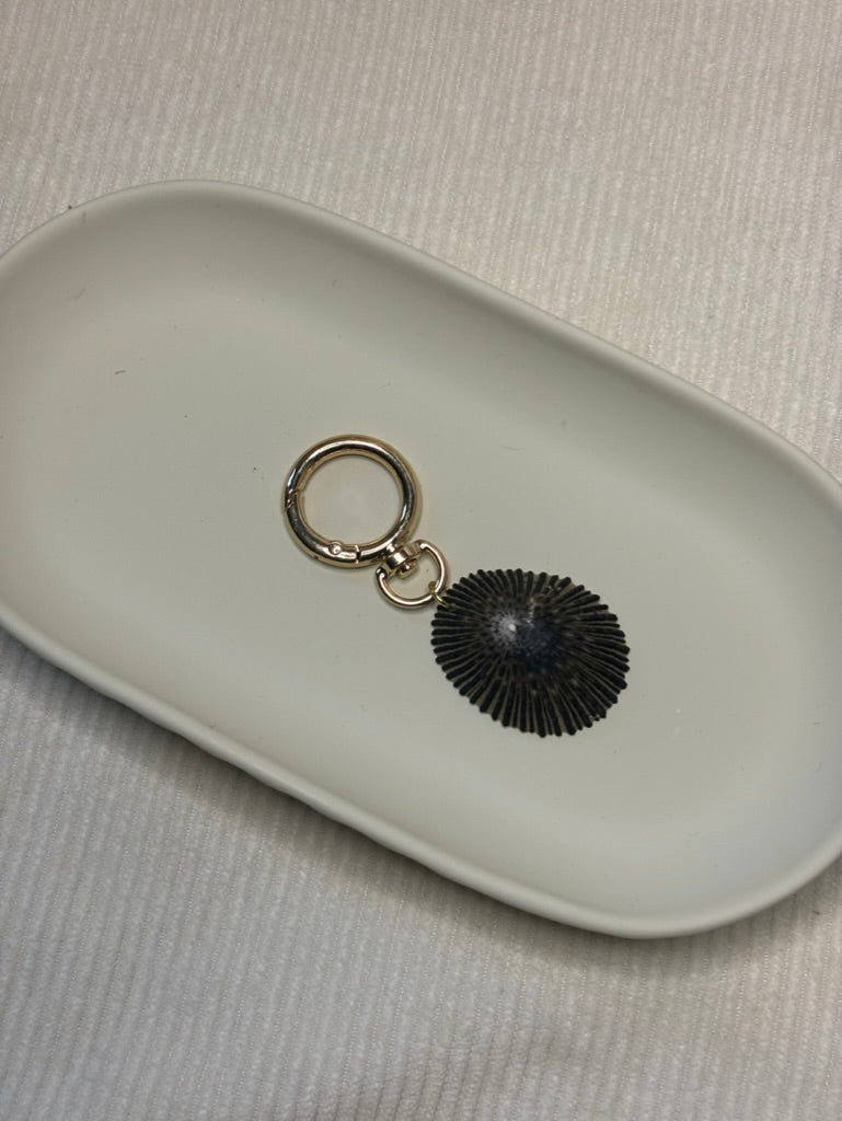 Gold Opihi Shell Keychain
