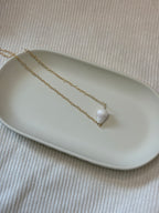 Gold-Filled Cone Shell Chain Necklace