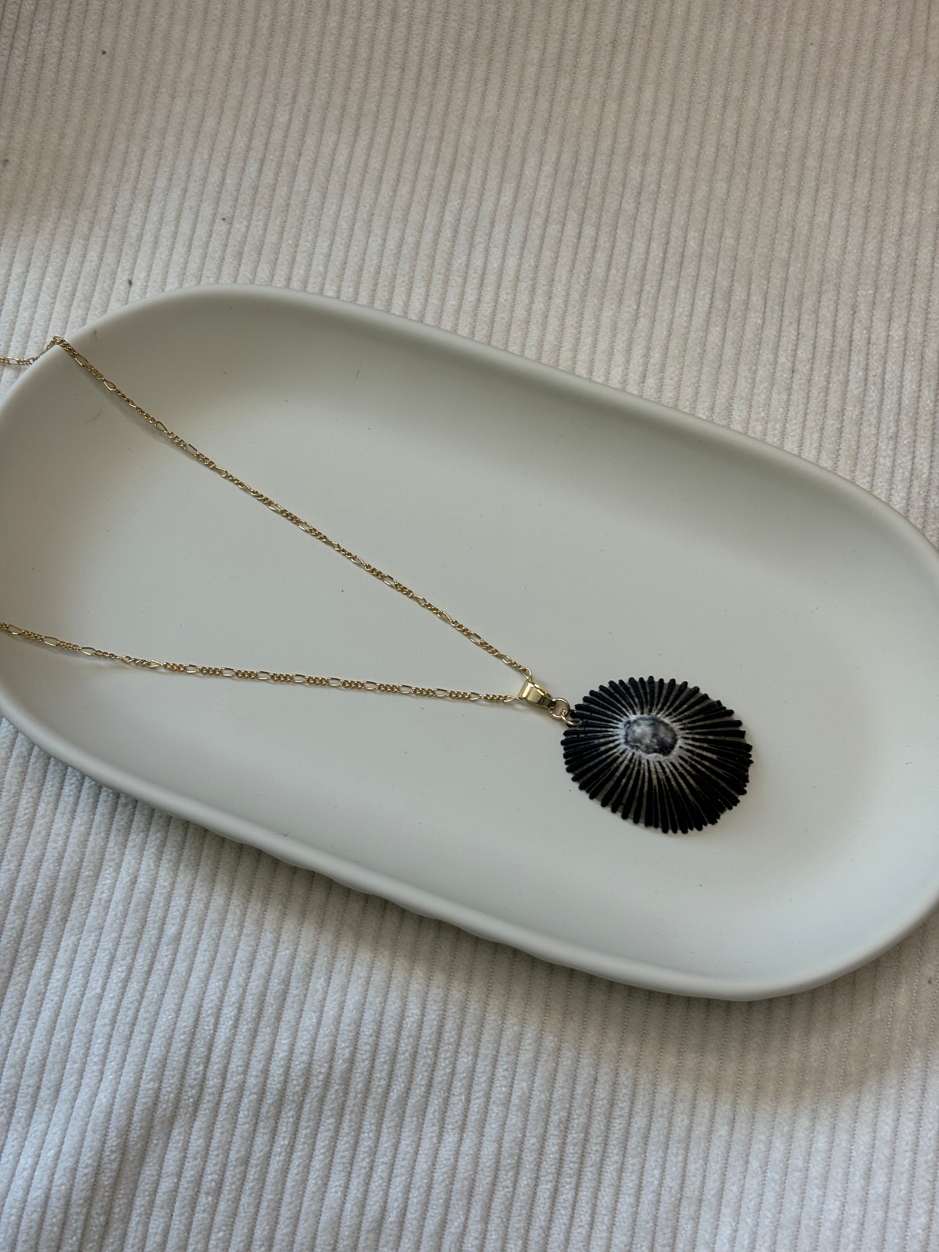 Gold-Filled Opihi Shell Chain Necklace
