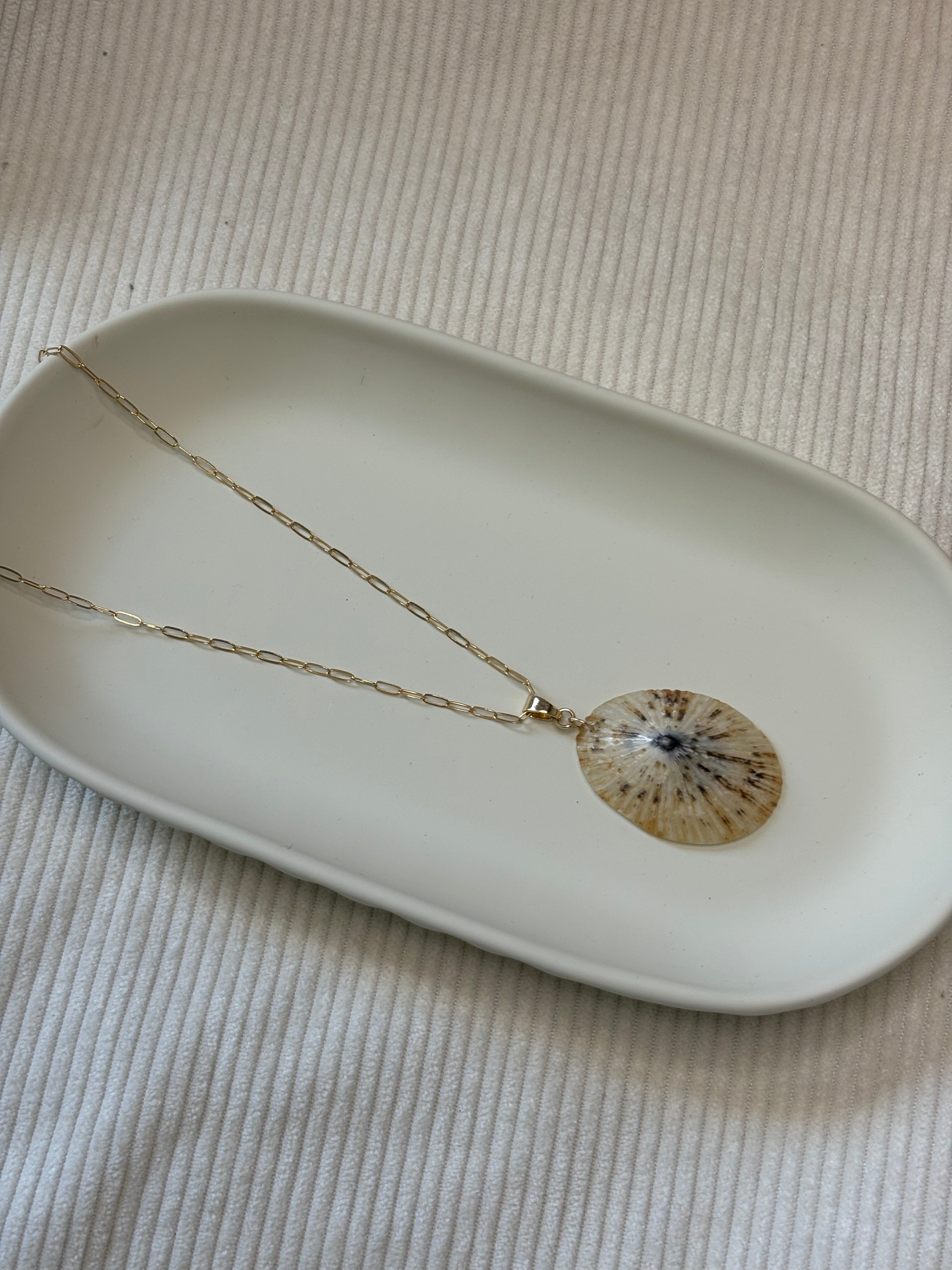 Gold-Filled Opihi Shell Chain Necklace