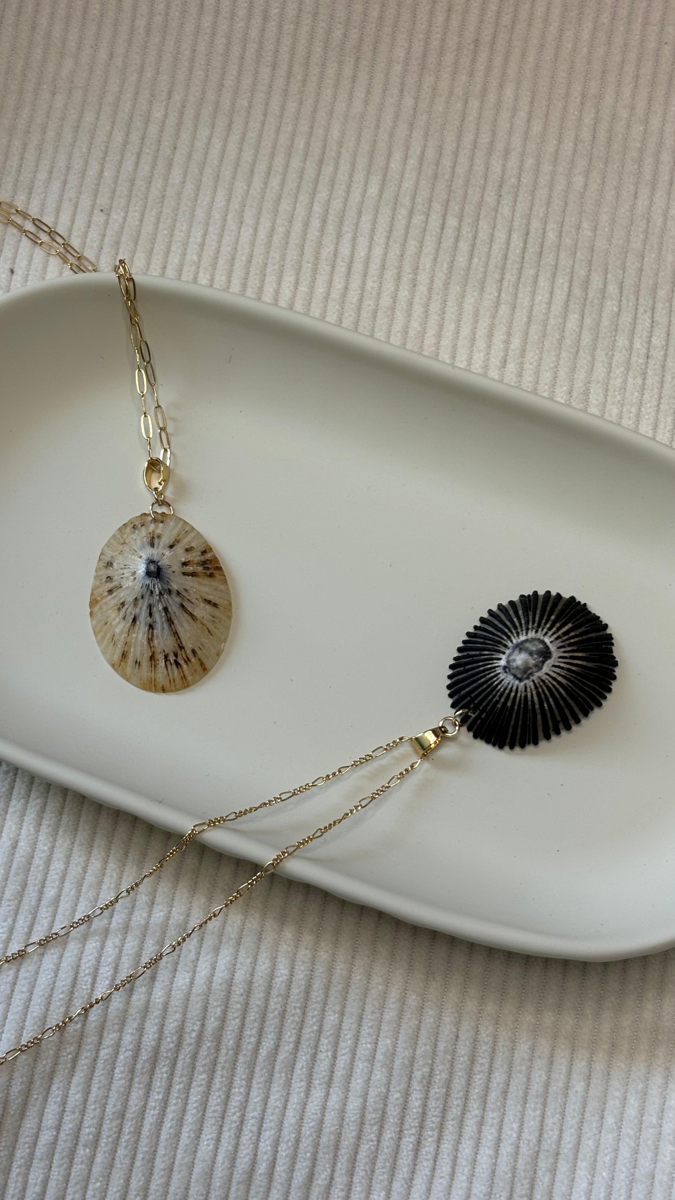 Gold-Filled Opihi Shell Chain Necklace