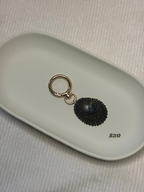 Gold Opihi Shell Keychain